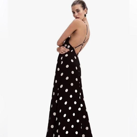 Reformation • Zani Dress in Moon Dot - size 2 - Picture 3 of 9